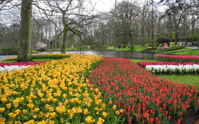 2024 - Holland Keukenhof